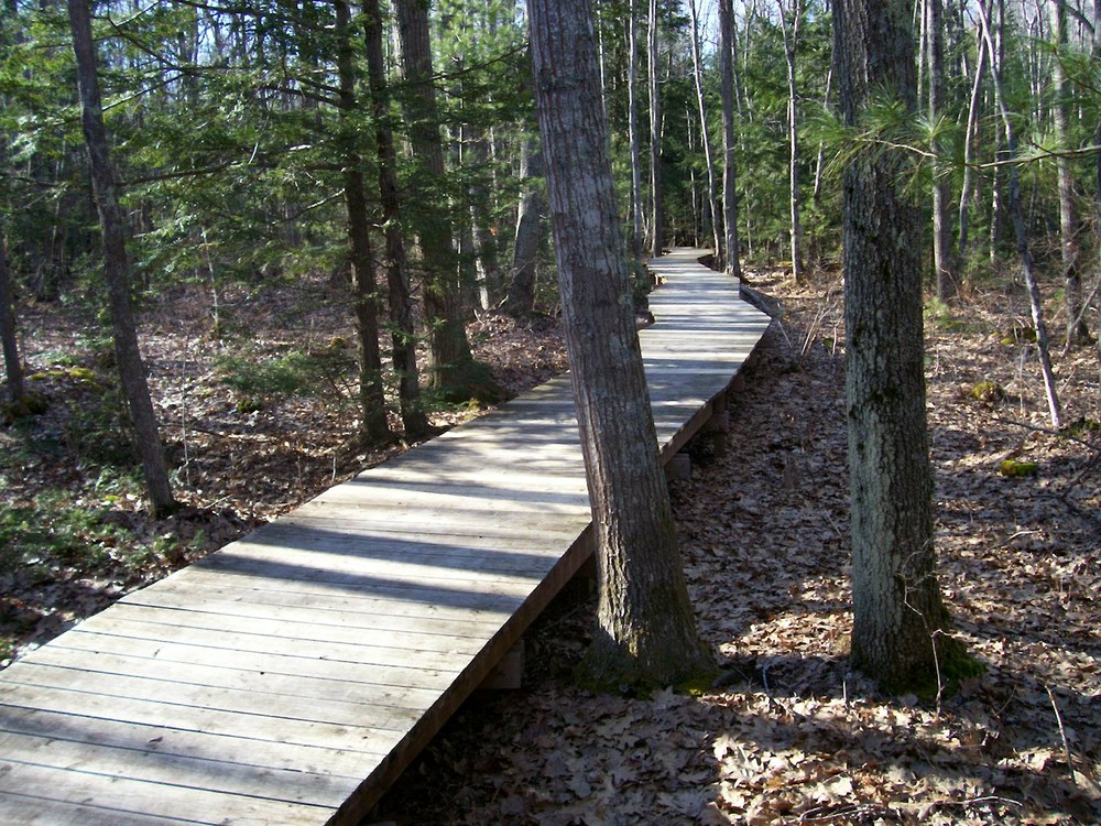 Ferry Landing Trail - Maine Trail Finder