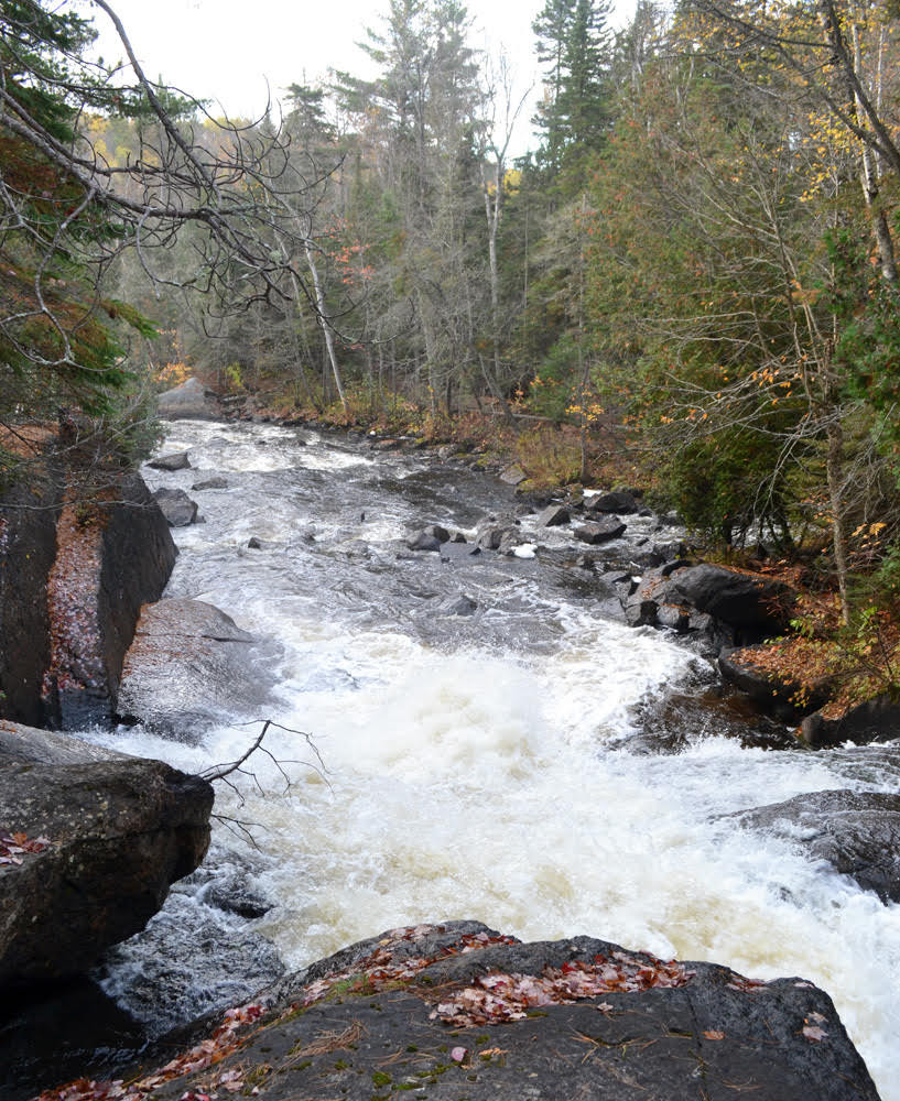 Moose River Bow Trip Maine Trail Finder