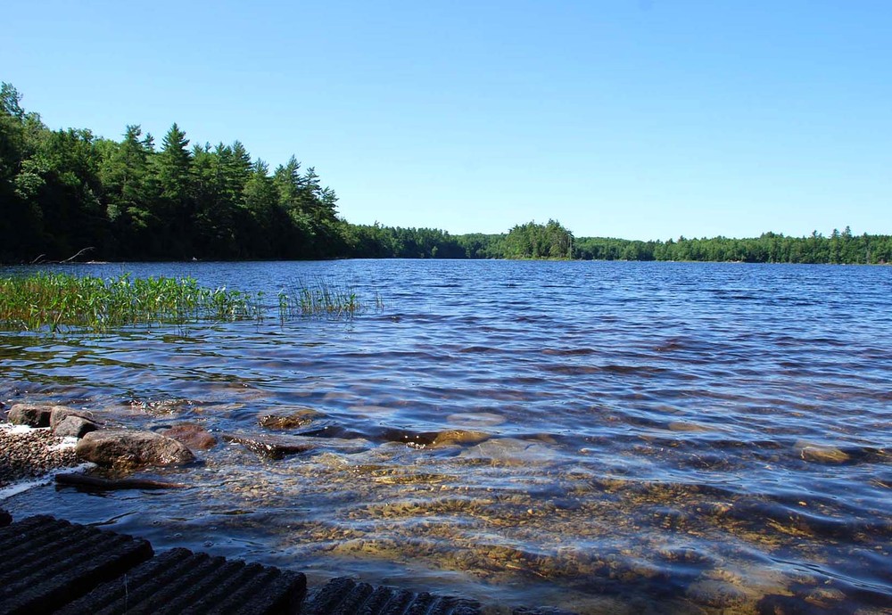 Jamies Pond - Maine Trail Finder