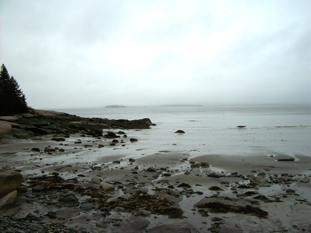 Birch Point State Park: A Maine Gem for Outdoor Lovers