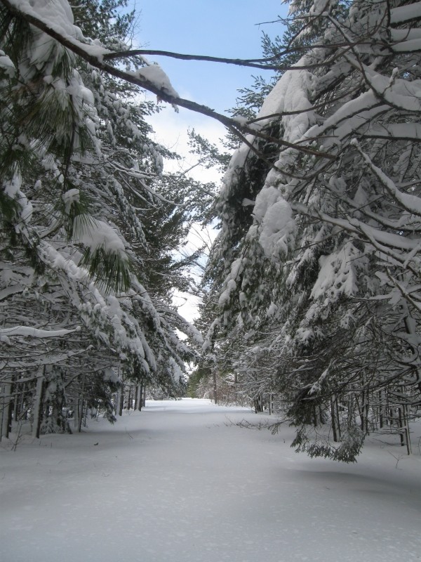 Moosehorn National Wildlife Refuge - Edmunds - Maine Trail Finder