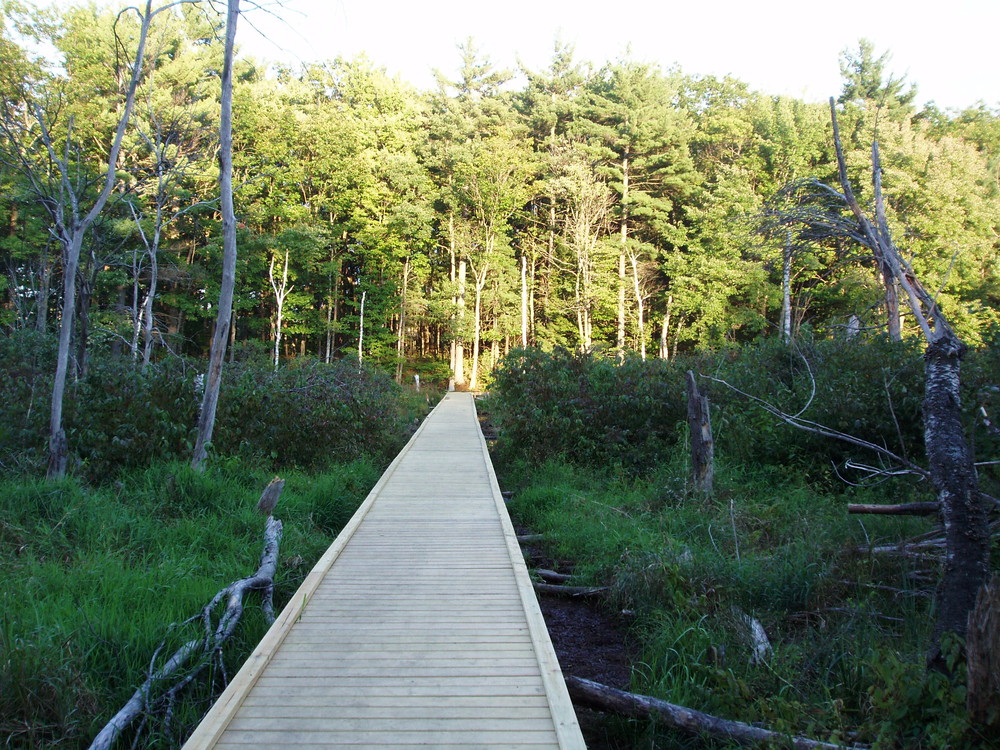 Escape to Serenity: Maine's Mousam River Campground - Your Gateway to Adventure