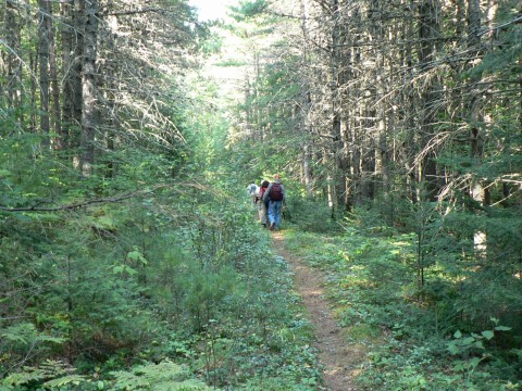 Moosehorn National Wildlife Refuge - Edmunds - Maine Trail Finder